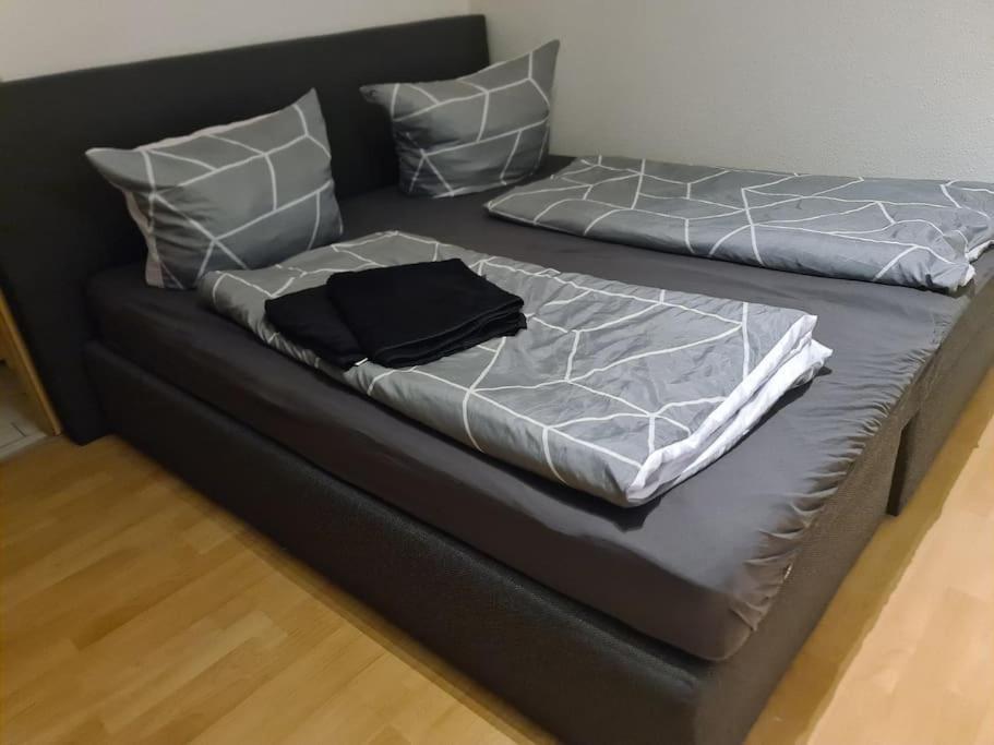 Luftiges Apartment Im Herzen Von دريسدن المظهر الخارجي الصورة