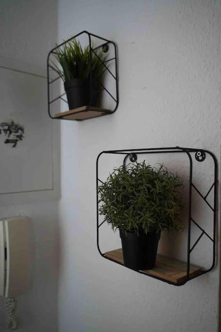 Luftiges Apartment Im Herzen Von دريسدن المظهر الخارجي الصورة